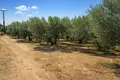 Parcelas 2 074 m² Nea Triglia, Grecia