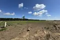 Atterrir 1 355 m² Kazmierz, Pologne