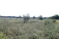 Land  Odesa, Ukraine
