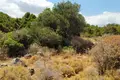 Parcelas  Kokkino Chorio, Grecia