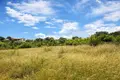 Działki 8 000 m² Megali Panagia, Grecja