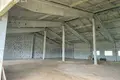 Warehouse 600 m² in Cervien, Belarus