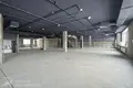 Büro 10 zimmer 100 m² in Zdanovicki sielski Saviet, Belarus