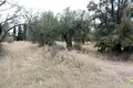 Land 1 room  Polygyros Municipality, Greece