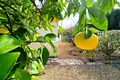 3 bedroom villa 197 m² lAlfas del Pi, Spain