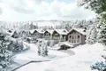 Dom drewniany w stylu górskim 6 pokojów 647 m² Kolasin, Czarnogóra