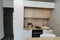 1 room apartment 40 m² Lyasny, Belarus