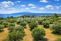 Parcelas 9 312 m² Agios Nikolaos, Grecia