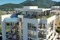 3 bedroom apartment  Herceg Novi, Montenegro