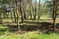 Parcelas  Smolice, Polonia