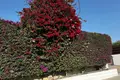 Villa 4 chambres 250 m² en Péyia, Chypre