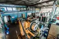 Gewerbefläche 700 m² Posen, Polen