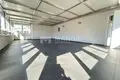 3 bedroom apartment 100 m² Grizane Belgrad, Croatia