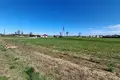 Atterrir 1 804 m² Damaslawek, Pologne