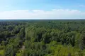 Atterrir  Smolice, Pologne