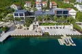 Villa 10 bedrooms 1 200 m² Durasevici, Montenegro