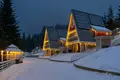 Other 510 m² in Polianytsia, Ukraine