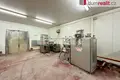 Commercial property 22 351 m² in Pravetin, Czech Republic