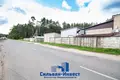 Производство 800 м² в Лесковка, Беларусь