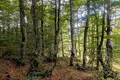 Atterrir  Zabljak, Monténégro