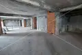 Commercial property 224 m² in Grad Sibenik, Croatia