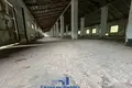 Коммерческое помещение 806 м² Новоколосовский сельский Совет, Беларусь