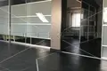 Propiedad comercial 117 m² en Grad Sisak, Croacia