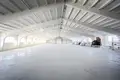Warehouse 5 rooms 300 m² in Aronava Slabada, Belarus