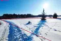 Grundstück  Druscheniken, Litauen