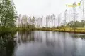 Коммерческое помещение 893 м² Звенчатка, Беларусь
