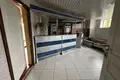 Dom wolnostojący 5 pokojów 368 m² w Wielki Scyklew, Białoruś