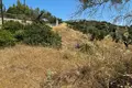 Atterrir 6 662 m² Nikiti, Grèce