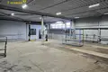 Propiedad comercial 222 m² en Minsk, Belarús