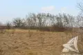 Land  Carnaucycki sielski Saviet, Belarus