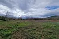 Land 6 400 m² Montenegro, Montenegro