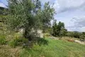 Land  Herceg Novi, Montenegro