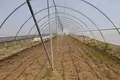 Land , Georgia