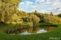 House 130 m² in Laparavicy, Belarus