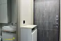 Appartement 1 chambre 20 m² Fanipal, Bélarus