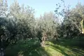 Land 1 room 200 m² Sozopoli, Greece