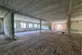 Commercial property 2 491 m² in Pleshchanitsy, Belarus