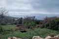 Parcelas 1 400 m² Zagora, Montenegro