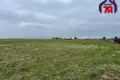 Grundstück  Smilavicki sielski Saviet, Belarus