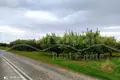 Działki 4 000 m² Paralia Dionisiou, Grecja