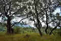 Land 1 room  Sinarades, Greece