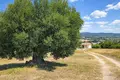 Parcelas 6 250 m² Kassandrino, Grecia