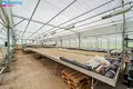 Commercial property 960 m² in Luknes, Lithuania