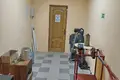 Gewerbefläche 342 m² Lida, Belarus