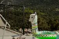 4-Schlafzimmer-Villa 190 m² Grad Sibenik, Kroatien