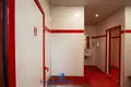 Commercial property 126 m² in Minsk, Belarus